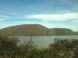 Scenery from the Train